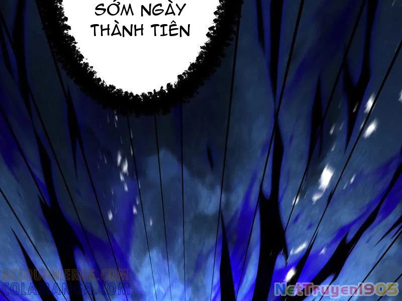 Gặp Mạnh Thì Mạnh, Ta Tu Vi Vô Thượng Hạn Chapter 70 - Trang 2