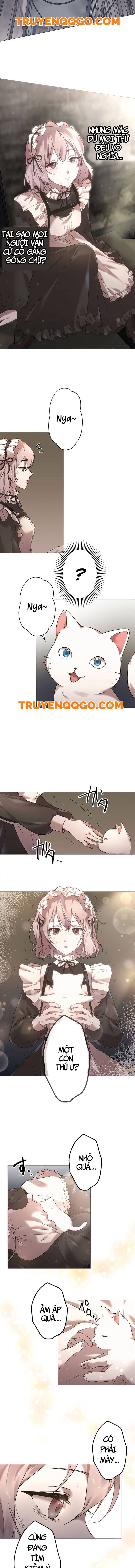 Nước Mắt Thần Chết Chapter 1 - Trang 2