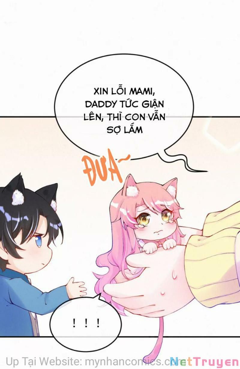 Mami Đột Kích, Thiên Tài Manh Bảo Khốc Daddy Chapter 102.1 - Trang 2
