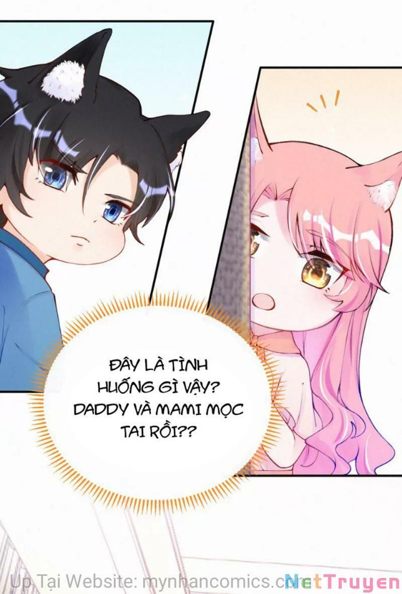 Mami Đột Kích, Thiên Tài Manh Bảo Khốc Daddy Chapter 102.1 - Trang 2