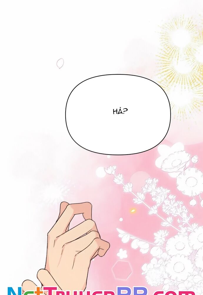 Hôm Nay Bạn Có Giám Phơi Bày Bản Thân Mình Không?! Chapter 52 - Trang 2
