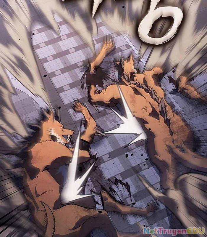 Solo Leveling Arise: Nguồn Gốc Của Thợ Săn Chapter 14 - Trang 2