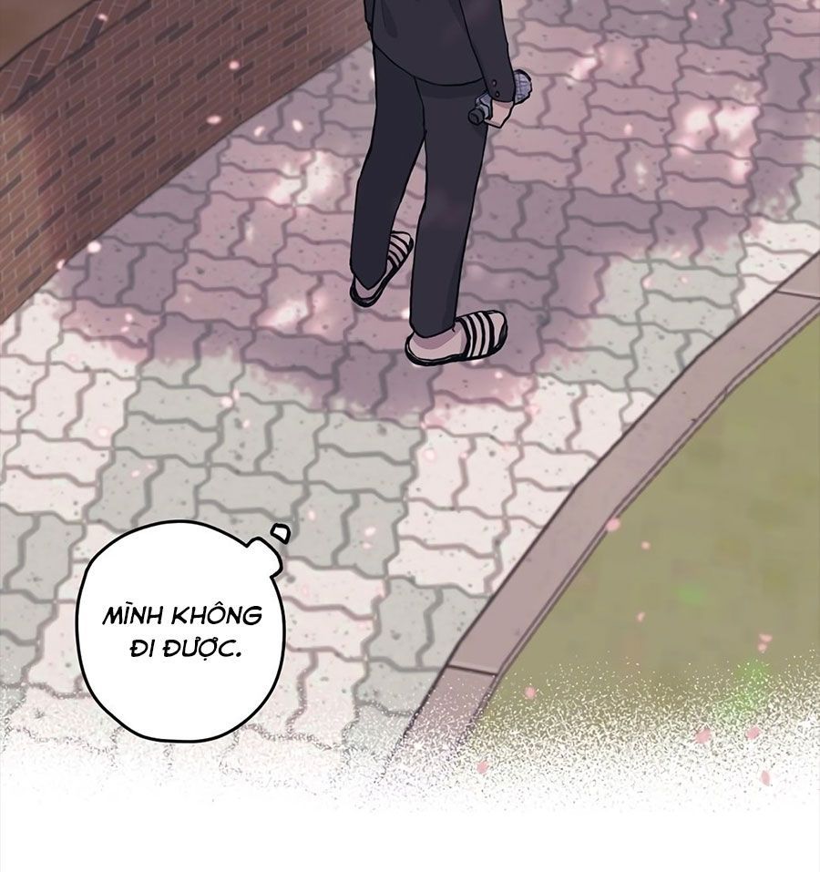 Yeonwoo’S Innocence Chapter 2 - Trang 2