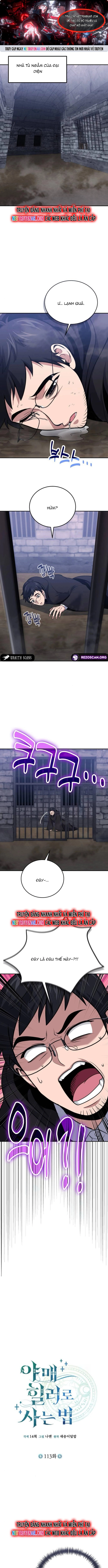 Làm Sao Sống Như Một Trị Liệu Sư Ngầm Chapter 113 - Trang 2