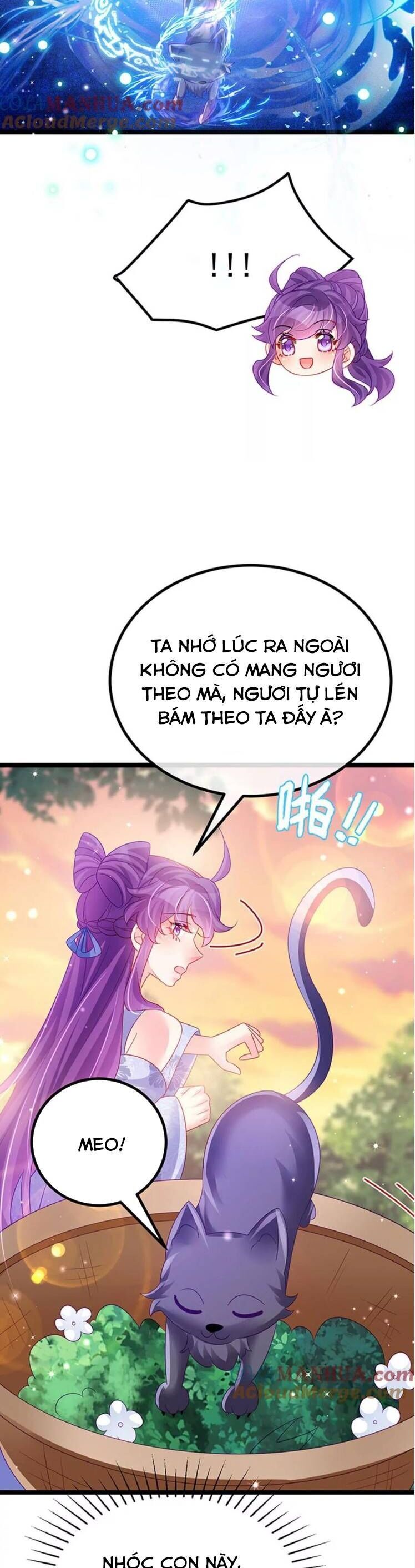 Phế Sài Tiểu Thư Muốn Nghịch Thiên Cải Mệnh Chapter 152 - Trang 2