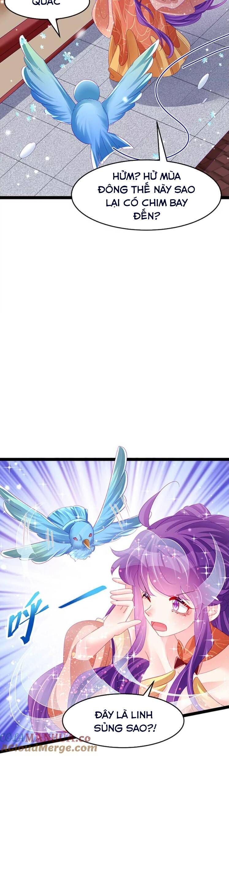 Phế Sài Tiểu Thư Muốn Nghịch Thiên Cải Mệnh Chapter 169 - Trang 2