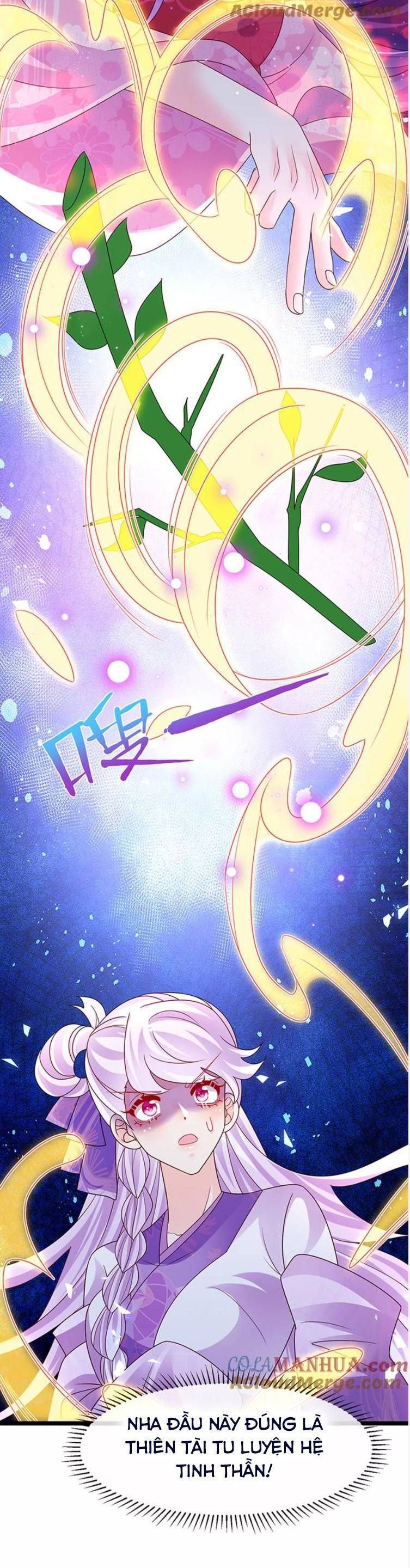 Phế Sài Tiểu Thư Muốn Nghịch Thiên Cải Mệnh Chapter 195 - Trang 2