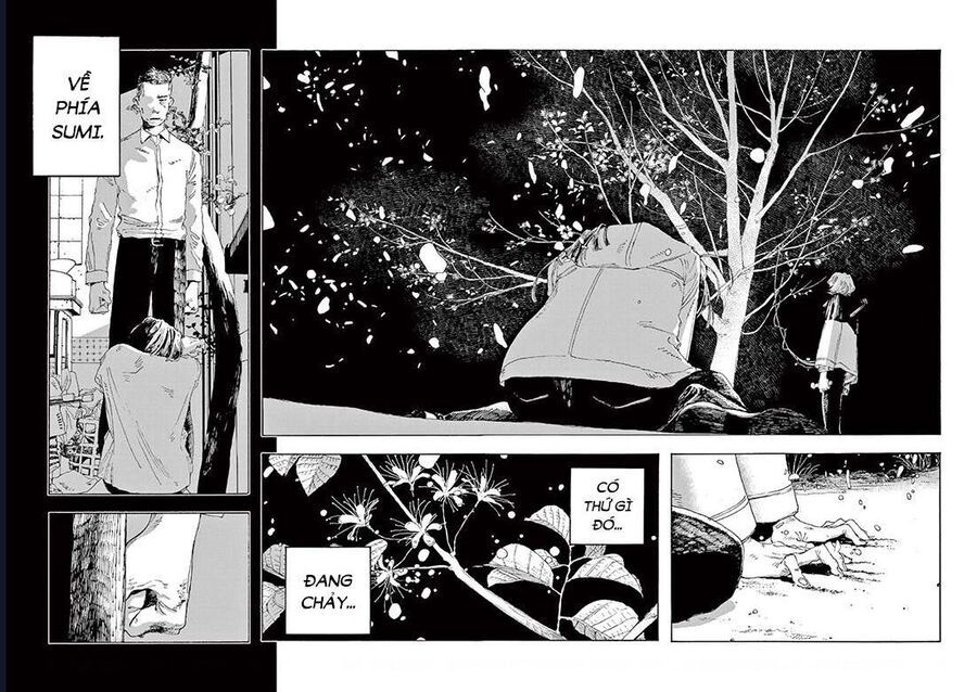 Đêm Của Kẻ Khờ Chapter 8 - Trang 2
