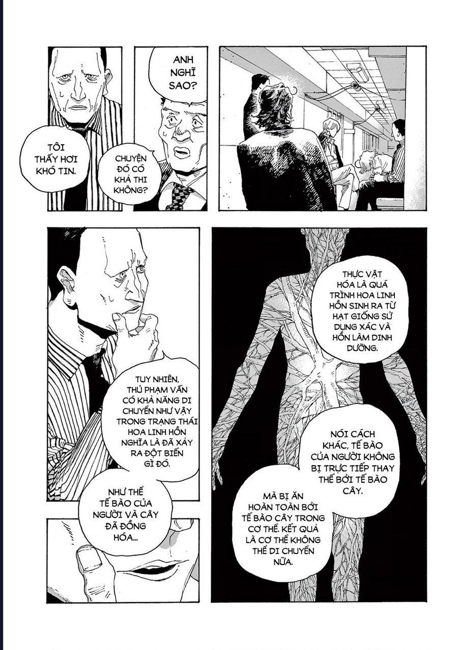Đêm Của Kẻ Khờ Chapter 16 - Trang 2