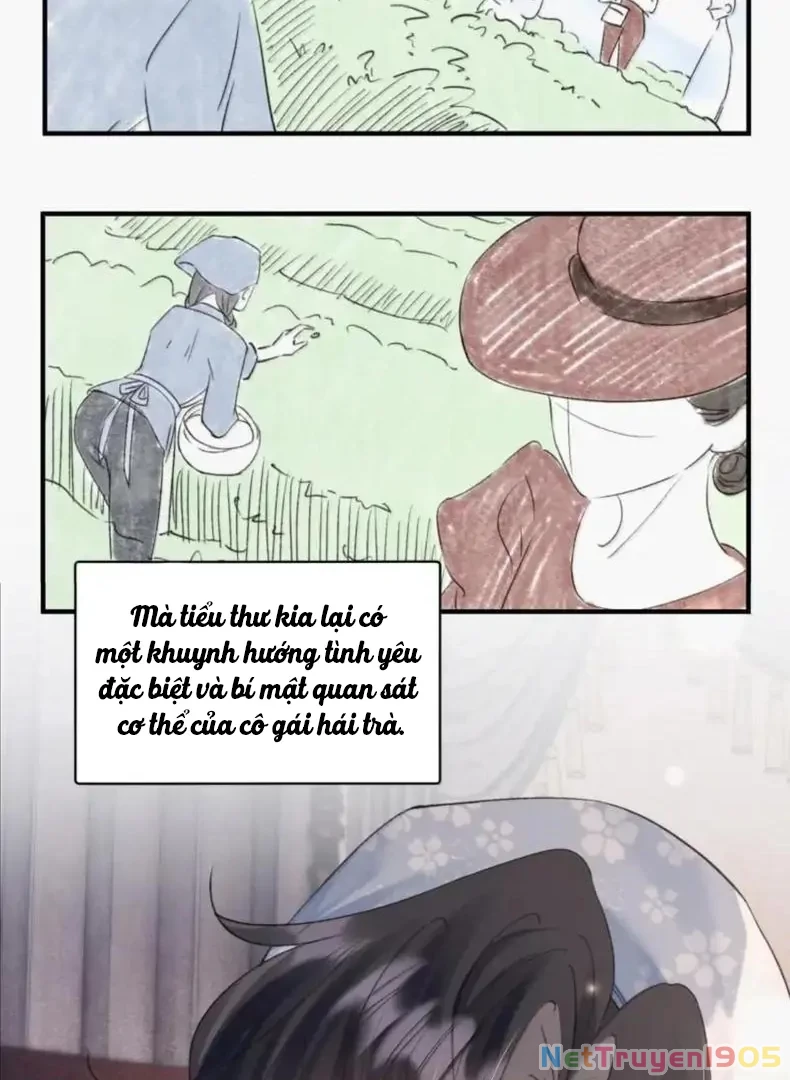 Ảnh Riêng Tư Chapter 41 - Trang 2