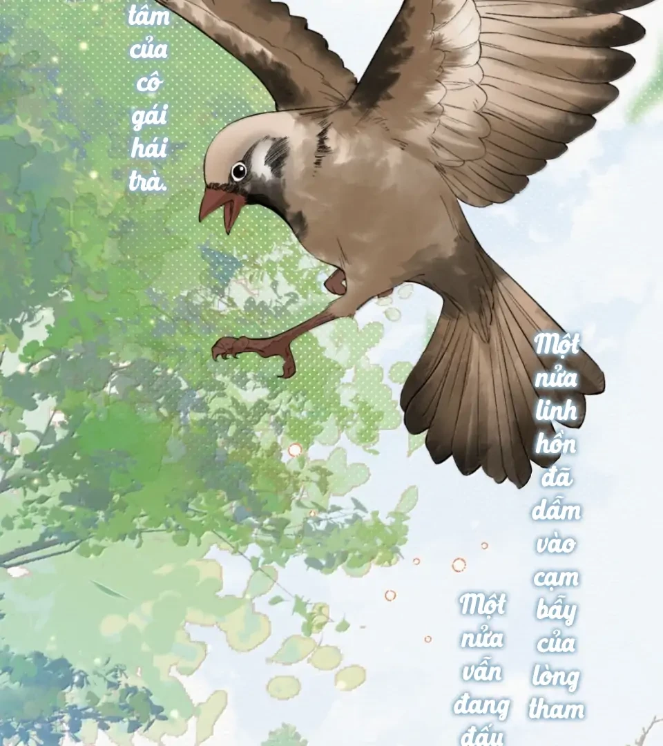 Ảnh Riêng Tư Chapter 42 - Trang 2