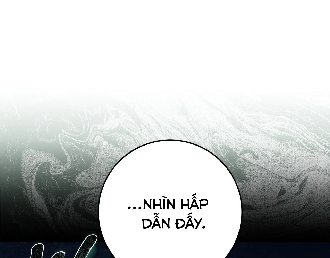 Chiến Binh Xương Trắng Thất Thủ Chapter 319 - Trang 2