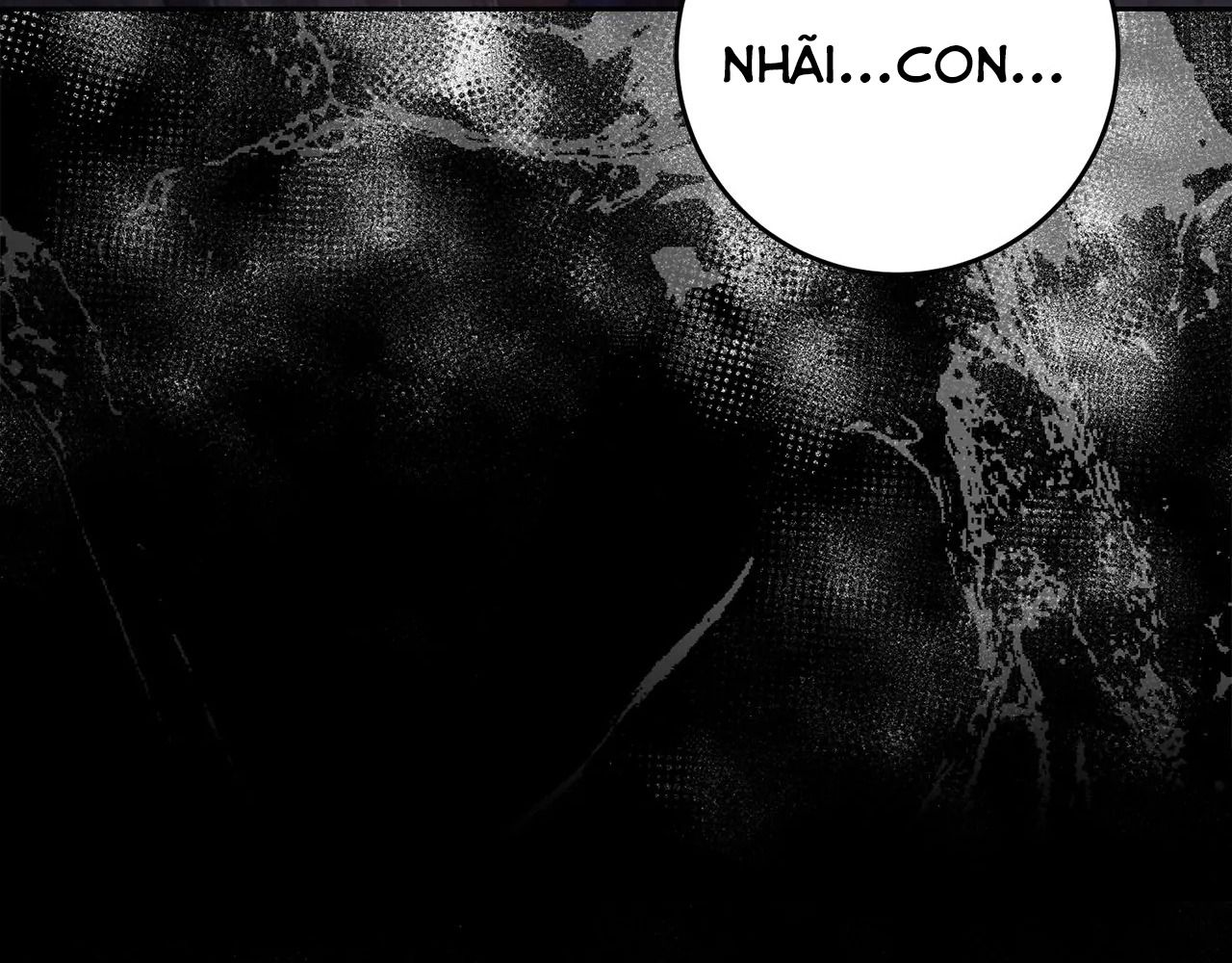 Chiến Binh Xương Trắng Thất Thủ Chapter 325 - Trang 2