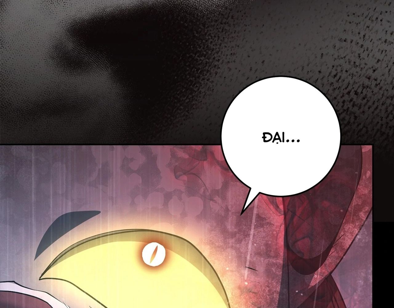 Chiến Binh Xương Trắng Thất Thủ Chapter 326 - Trang 2