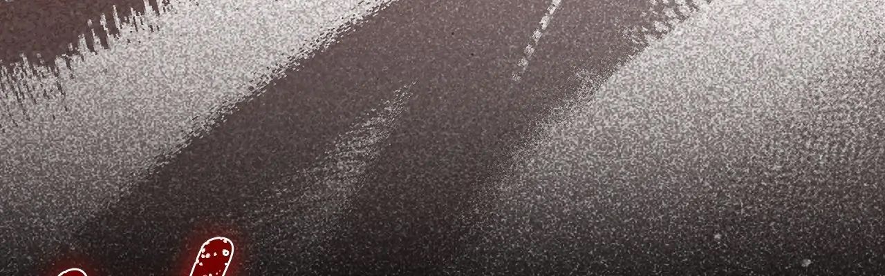 Chiến Binh Xương Trắng Thất Thủ Chapter 322 - Trang 2