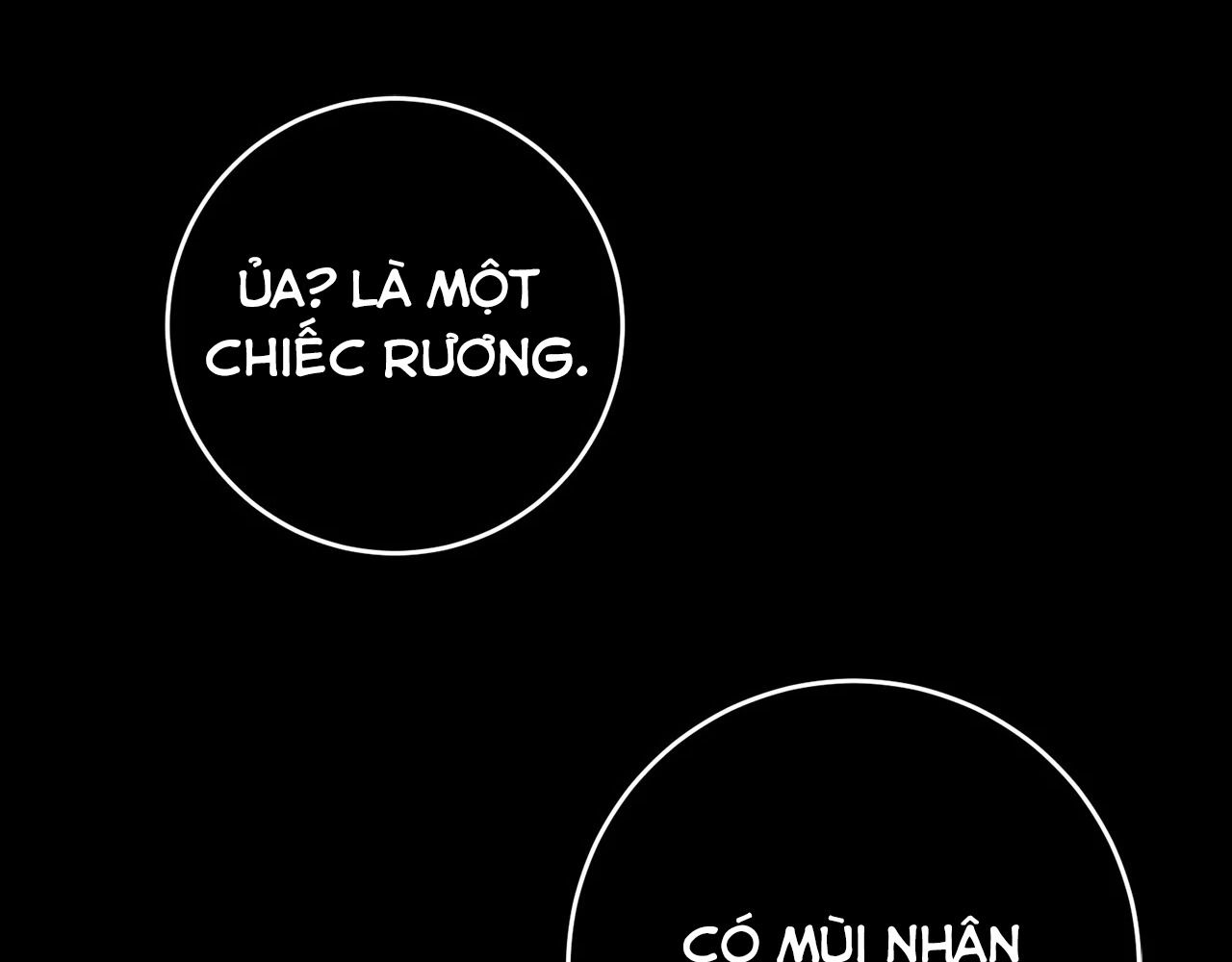 Chiến Binh Xương Trắng Thất Thủ Chapter 325 - Trang 2