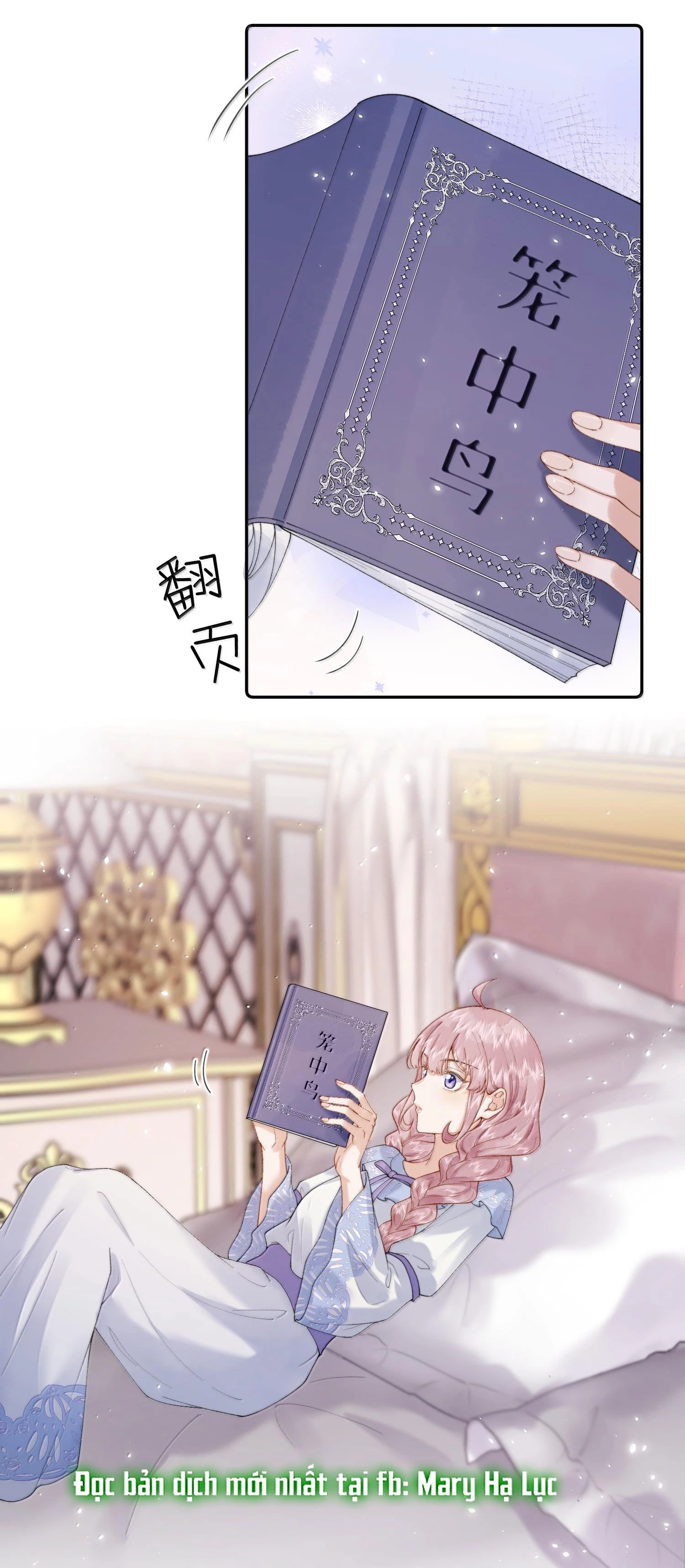 Phản Diện Gặp Kẻ Cuồng Yêu Chapter 39 - Trang 2