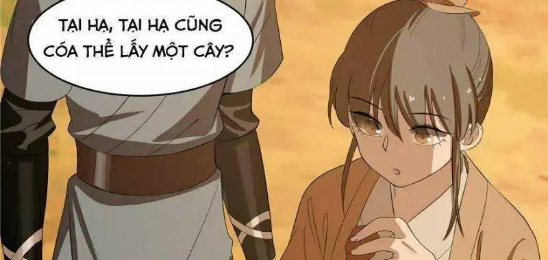 ‘Độc Bộ Thiên Hạ Đặc Công Thần Y Tiểu Thú Phi Chapter 27 - Trang 2