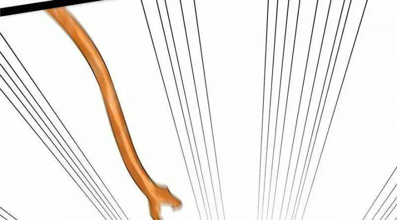 ‘Độc Bộ Thiên Hạ Đặc Công Thần Y Tiểu Thú Phi Chapter 27 - Trang 2