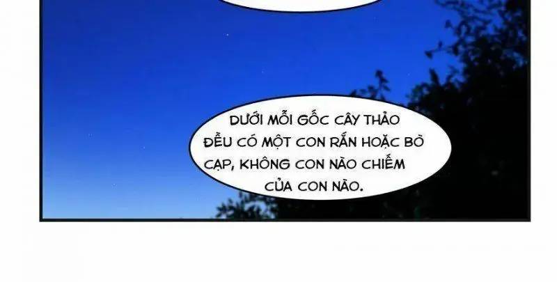 ‘Độc Bộ Thiên Hạ Đặc Công Thần Y Tiểu Thú Phi Chapter 27 - Trang 2