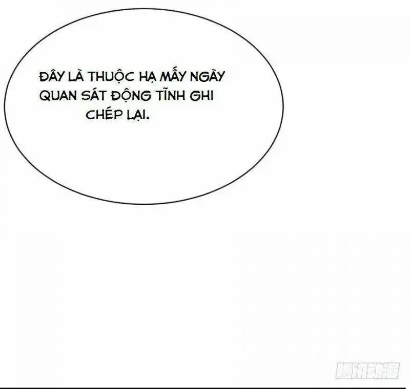 ‘Độc Bộ Thiên Hạ Đặc Công Thần Y Tiểu Thú Phi Chapter 8 - Trang 2
