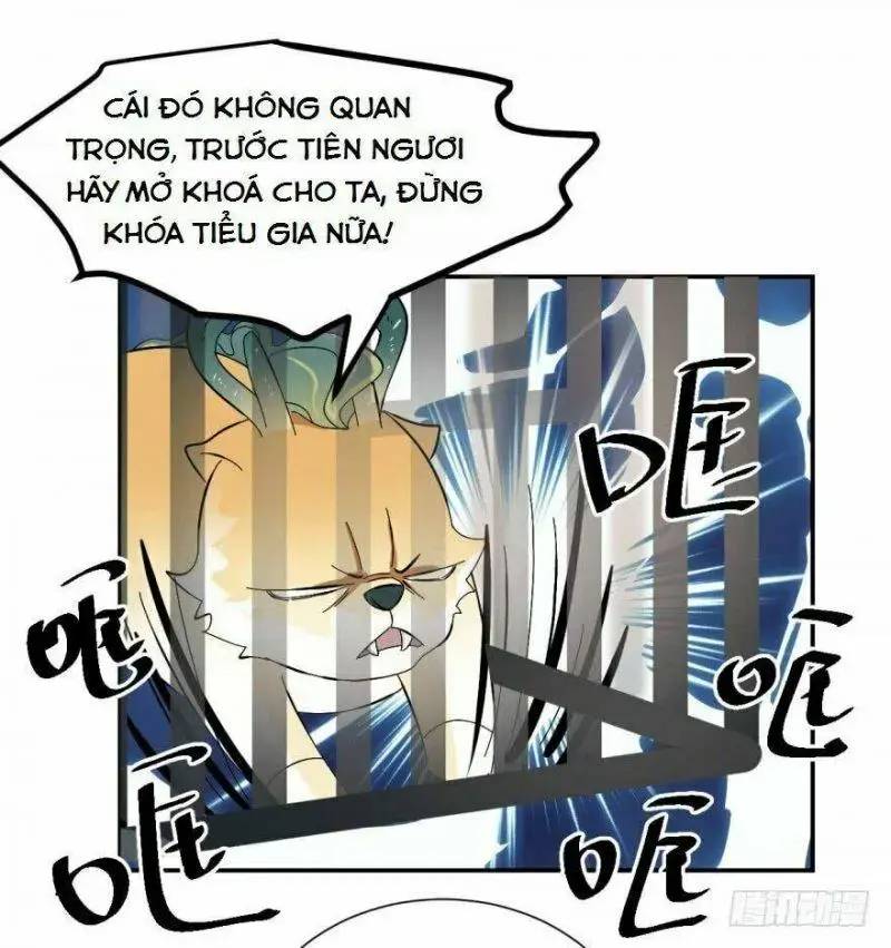 ‘Độc Bộ Thiên Hạ Đặc Công Thần Y Tiểu Thú Phi Chapter 4 - Trang 2
