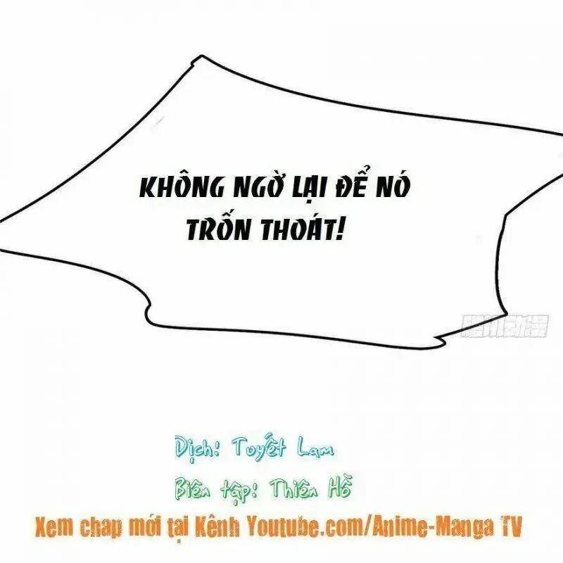 ‘Độc Bộ Thiên Hạ Đặc Công Thần Y Tiểu Thú Phi Chapter 31 - Trang 2