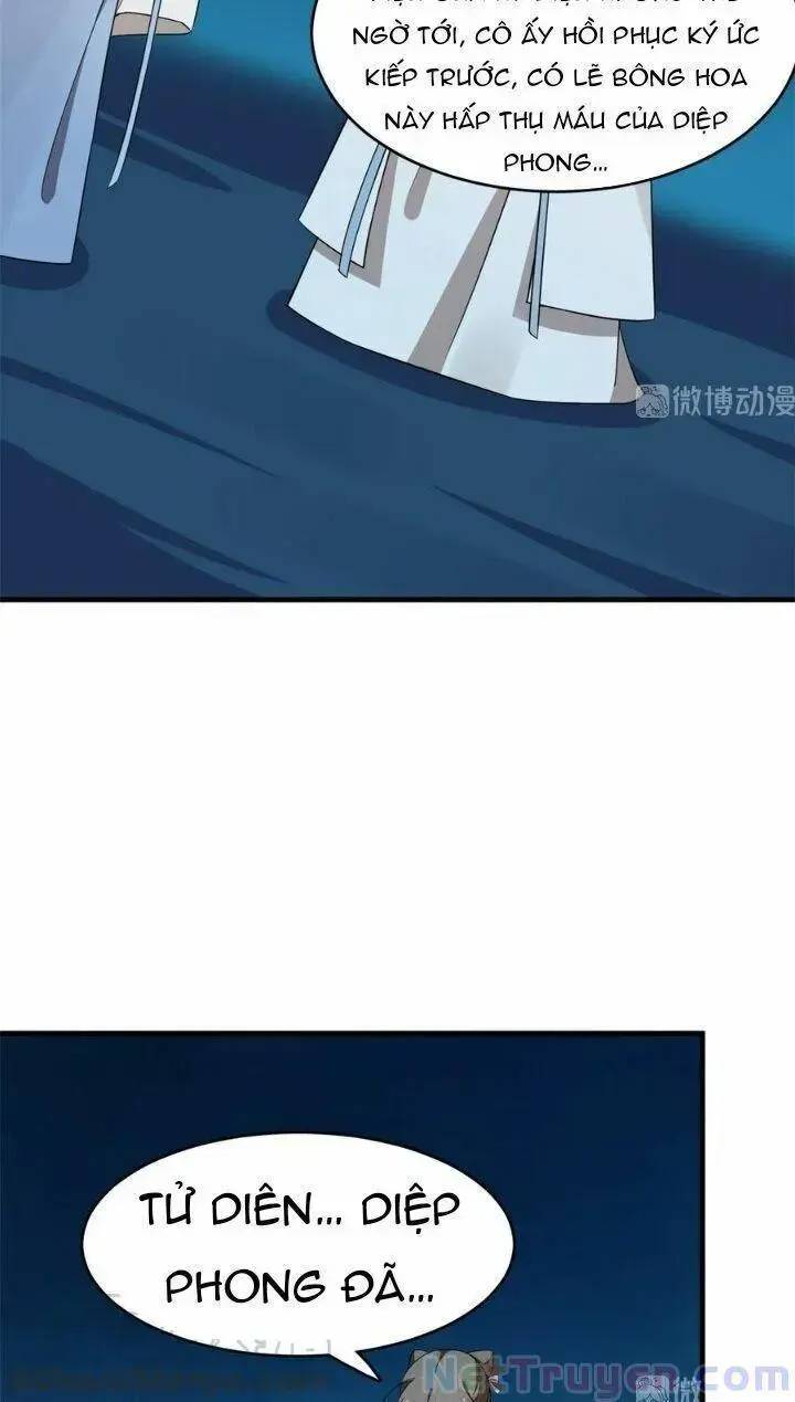 ‘Độc Bộ Thiên Hạ Đặc Công Thần Y Tiểu Thú Phi Chapter 260 - Trang 2