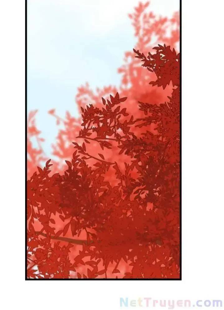 ‘Độc Bộ Thiên Hạ Đặc Công Thần Y Tiểu Thú Phi Chapter 133 - Trang 2