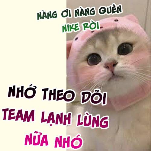 ‘Độc Bộ Thiên Hạ Đặc Công Thần Y Tiểu Thú Phi Chapter 493 - Trang 2