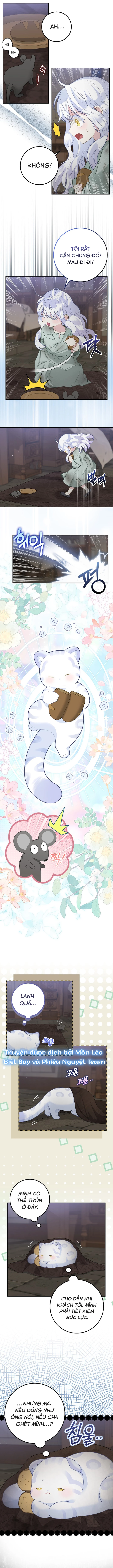 Tiểu Thư Báo Tuyết Của Gia Tộc Báo Đen Chapter 2 - Trang 2