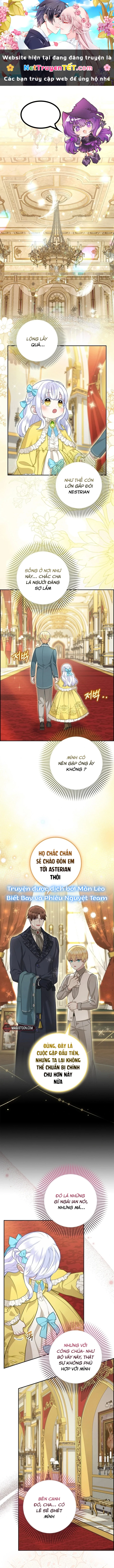 Tiểu Thư Báo Tuyết Của Gia Tộc Báo Đen Chapter 5 - Trang 2