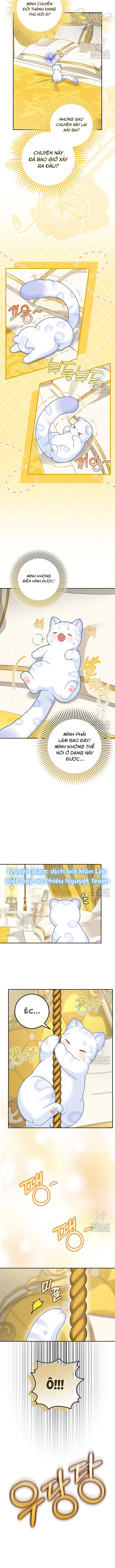 Tiểu Thư Báo Tuyết Của Gia Tộc Báo Đen Chapter 21 - Trang 2