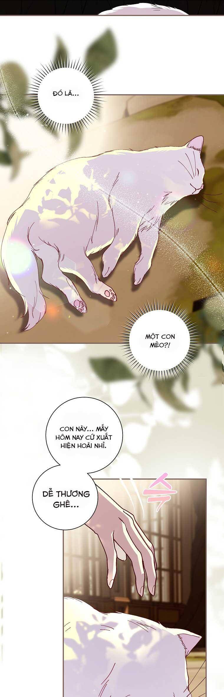 Này Boss Phản Diện, Tôi Có Thể Làm Mọi Thứ Trừ Cưới Ngài Chapter 9 - Trang 2