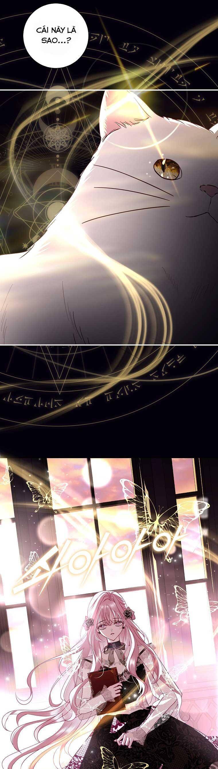 Này Boss Phản Diện, Tôi Có Thể Làm Mọi Thứ Trừ Cưới Ngài Chapter 9 - Trang 2