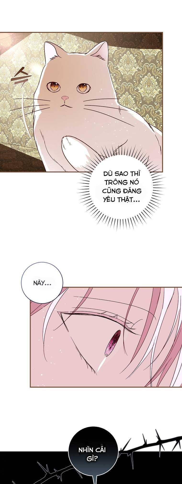 Này Boss Phản Diện, Tôi Có Thể Làm Mọi Thứ Trừ Cưới Ngài Chapter 9 - Trang 2