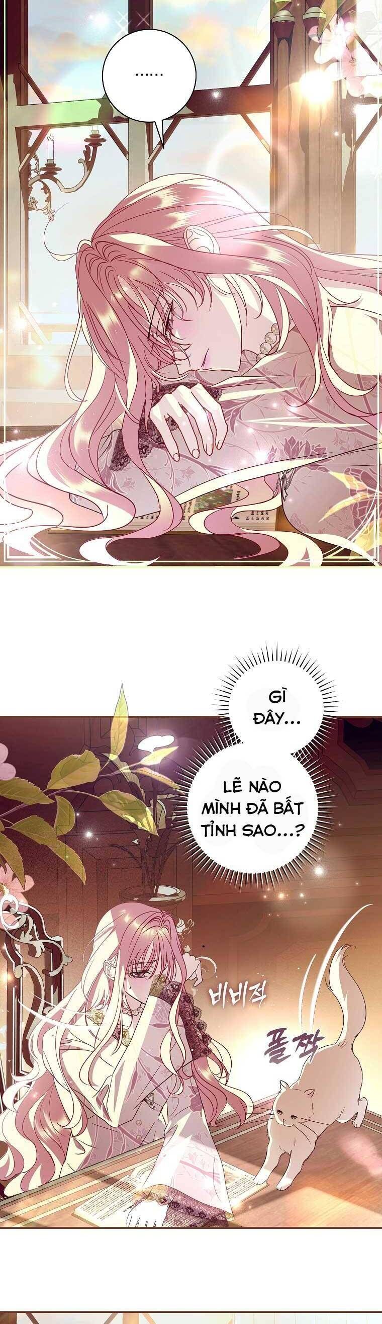 Này Boss Phản Diện, Tôi Có Thể Làm Mọi Thứ Trừ Cưới Ngài Chapter 11 - Trang 2