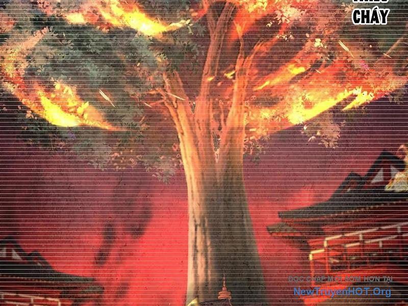 Hoá Ra Ta Là Lão Tổ Ma Đạo? Chapter 102 - Trang 2