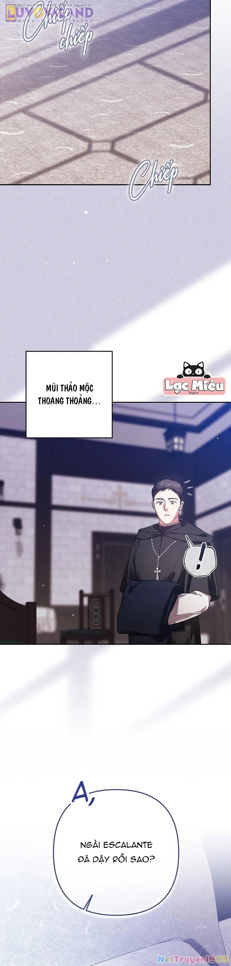 Hôn Nhân Này Rồi Sẽ Đổ Vỡ Chapter 101 - Trang 2