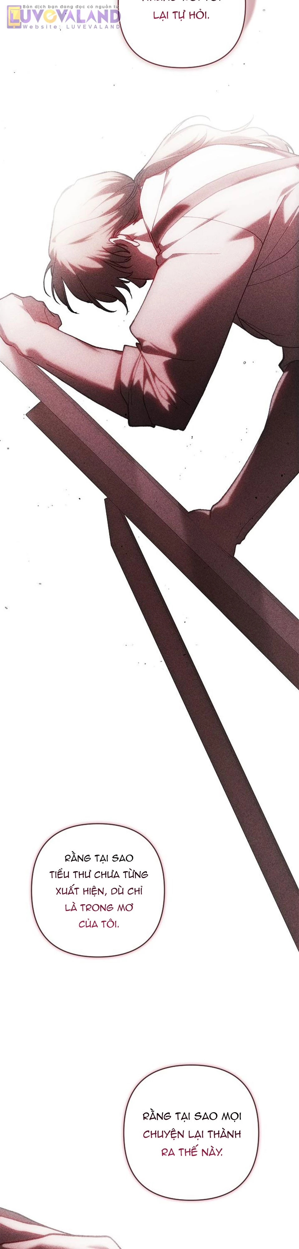 Hôn Nhân Này Rồi Sẽ Đổ Vỡ Chapter 102 - Trang 2