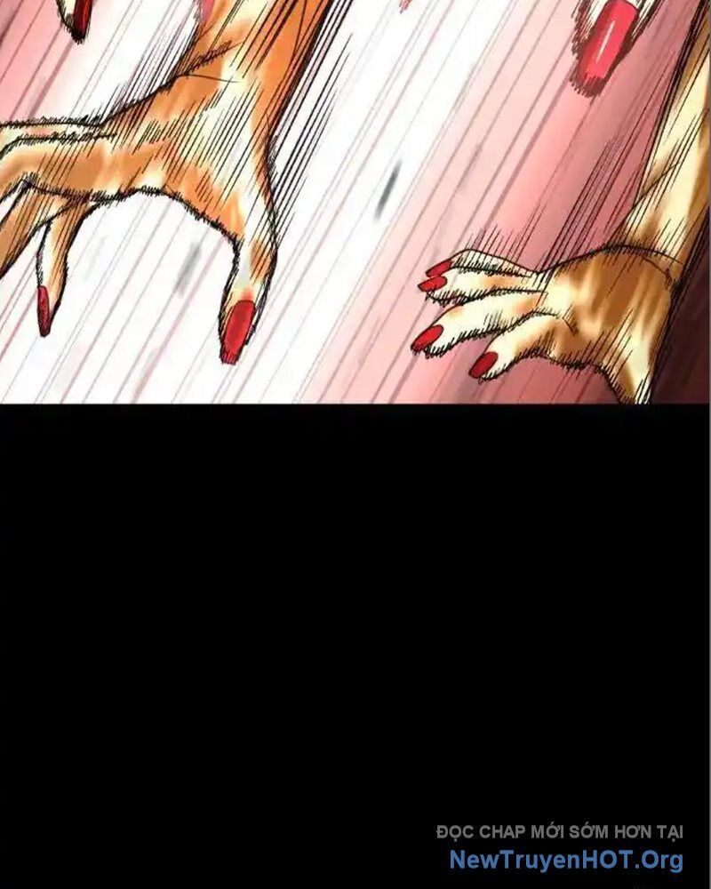 Cuốn Sổ Sinh Tử Chapter 12 - Trang 2