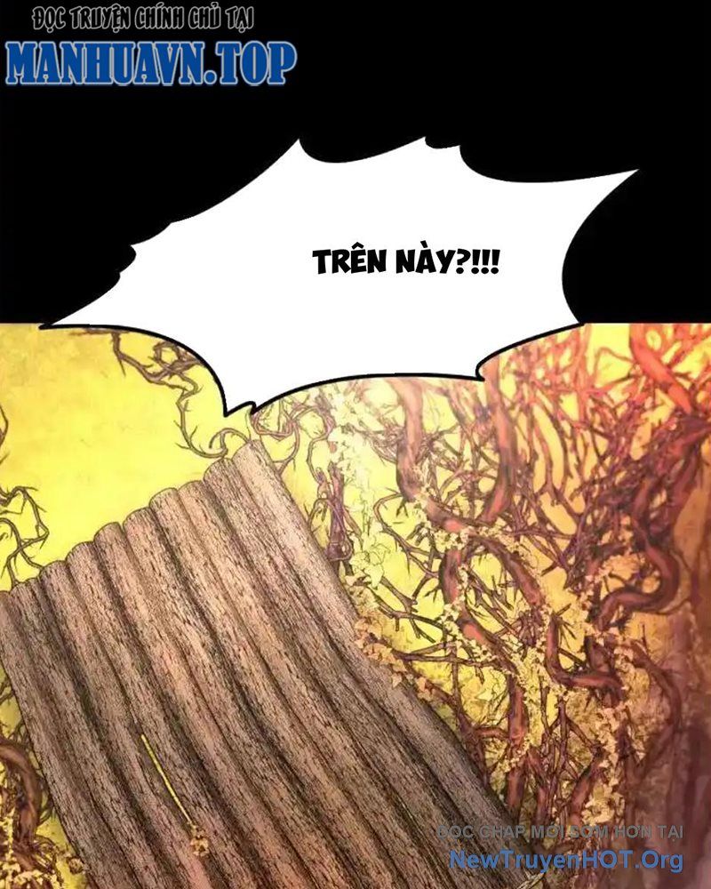 Cuốn Sổ Sinh Tử Chapter 16 - Trang 2