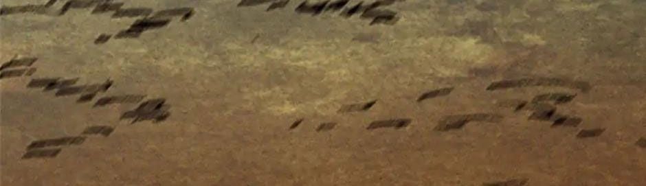 Sự Trở Về Của Chiến Thần Tự Sát Chapter 103 - Trang 2