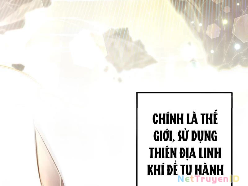 Các Nữ Sư Tôn Đều Muốn Chiếm Hữu Ta Chapter 1 - Trang 2