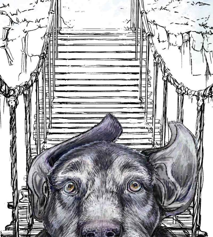 Những Chuyện Kinh Hoàng Chapter 81 - Trang 2