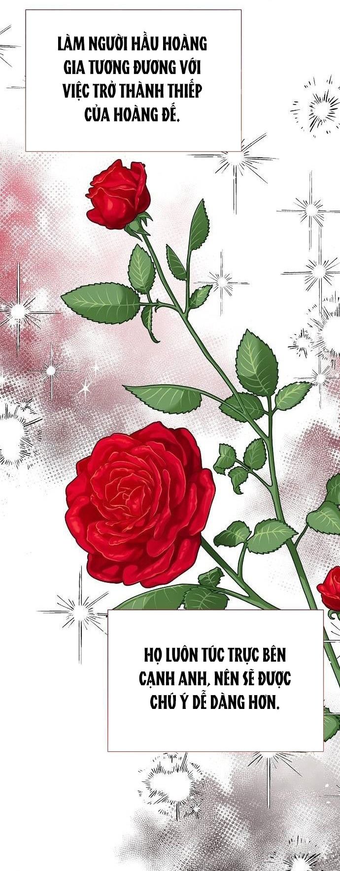 Cho Đến Khi Nữ Chính Thực Sự Xuất Hiện Chapter 28 - Trang 2