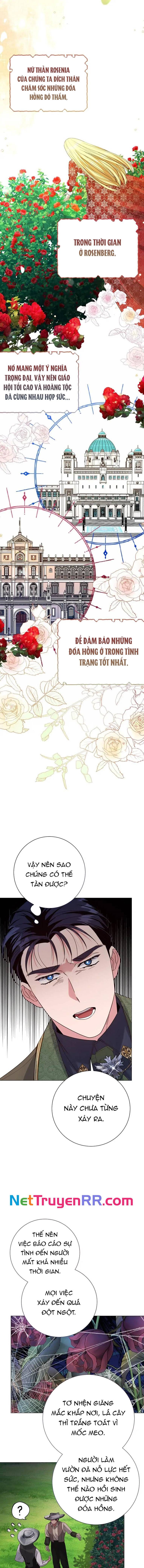 Cho Đến Khi Nữ Chính Thực Sự Xuất Hiện Chapter 31 - Trang 2