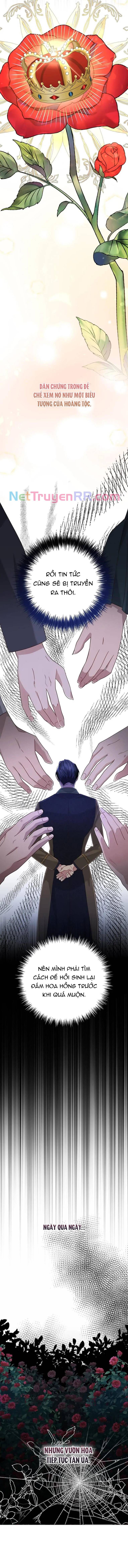 Cho Đến Khi Nữ Chính Thực Sự Xuất Hiện Chapter 31 - Trang 2