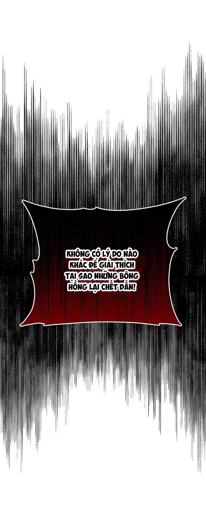 Cho Đến Khi Nữ Chính Thực Sự Xuất Hiện Chapter 34 - Trang 2