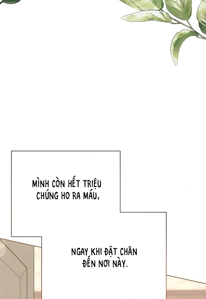 Cho Đến Khi Nữ Chính Thực Sự Xuất Hiện Chapter 71 - Trang 2